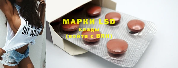 индика Медногорск