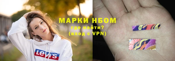 индика Медногорск