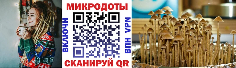 Псилоцибиновые грибы мухоморы  Отрадный 
