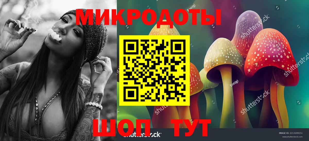 Галлюциногенные грибы мицелий  где продают наркотики  Отрадный  Вход с VPN 