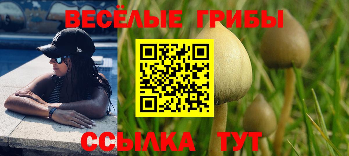 Отрадный  Псилоцибиновые грибы прущие грибы  Вход с VPN 